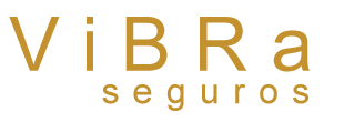 ViBRa Seguros